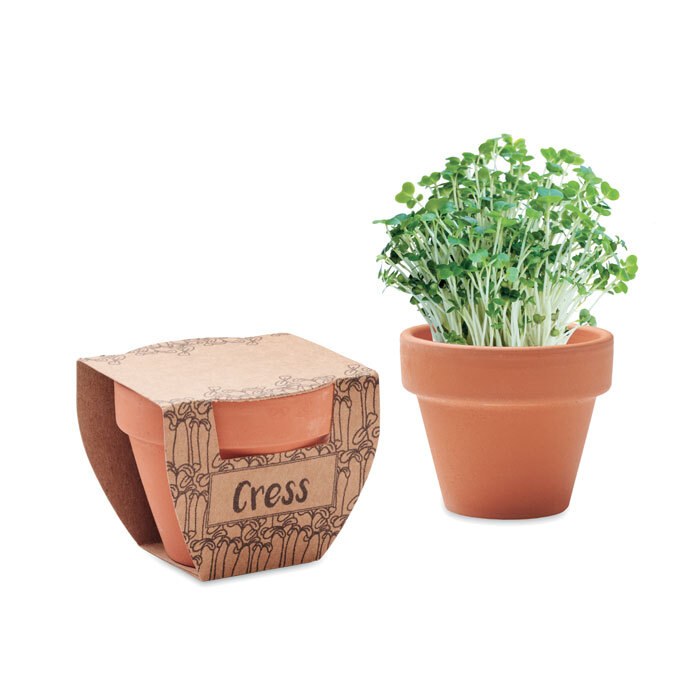 GiftRetail MO2219 - CRESS POT Pot avec graines de cresson