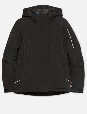 Dickies DK0A4XTM - Veste Softshell WINTER homme (JW7019)